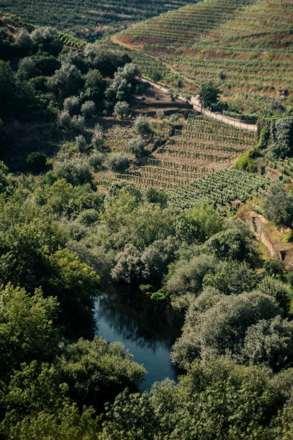 Quinta Do Vale Da Ermida - Private Heated Pool - By Met Villa Exterior photo